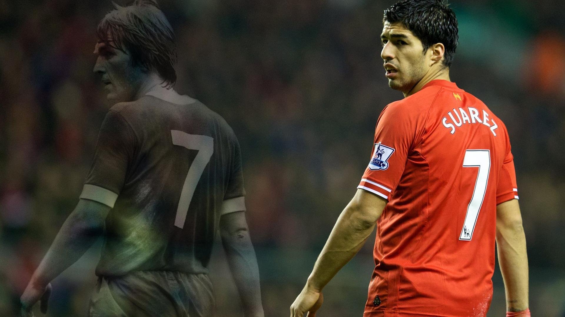 智慧体育教学平台的用户体验优化研究,智慧体育训练考核系统